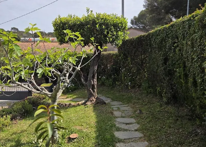 Maison Margot Provencale A 300m De La Cavalaire-sur-Mer