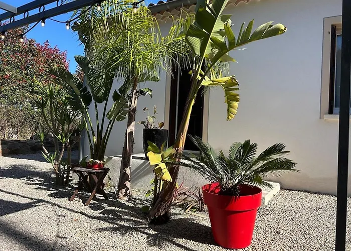 Maison Margot Provencale A 300m De La