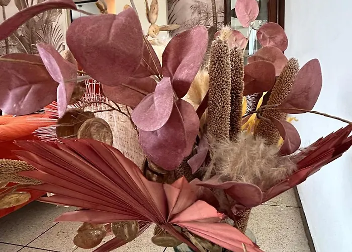 Maison Margot Provencale A 300m De La *